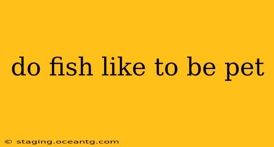 do fish like to be pet