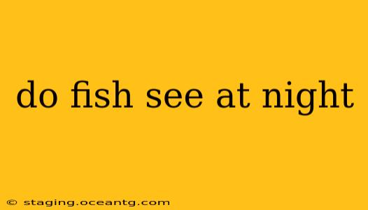 do fish see at night
