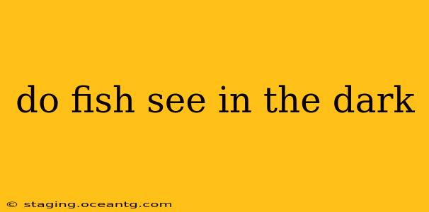 do fish see in the dark