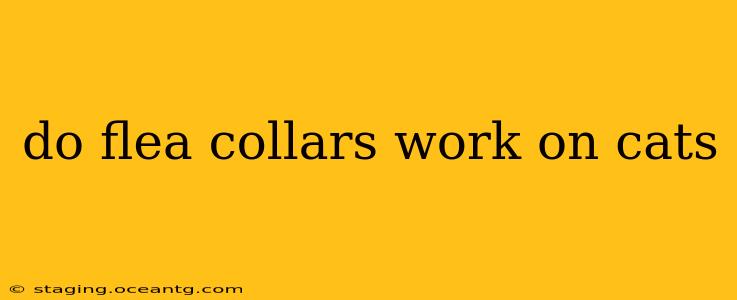 do flea collars work on cats