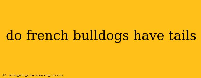 do french bulldogs have tails