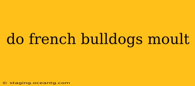 do french bulldogs moult
