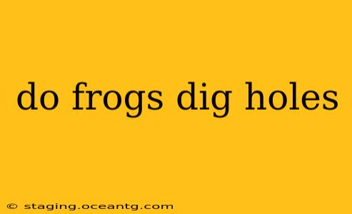 do frogs dig holes