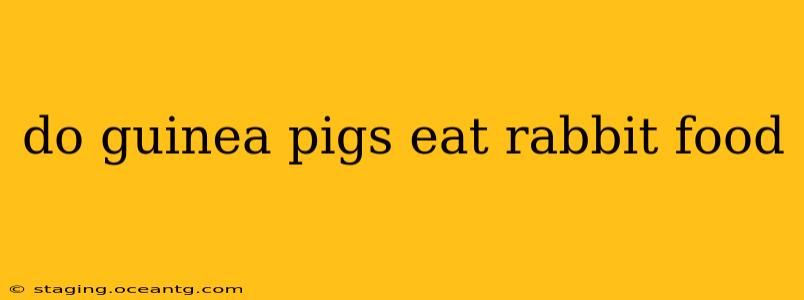 do guinea pigs eat rabbit food