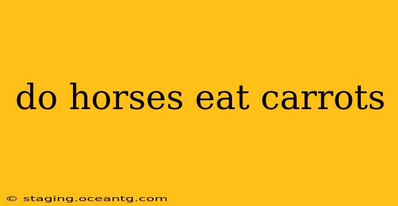 do horses eat carrots