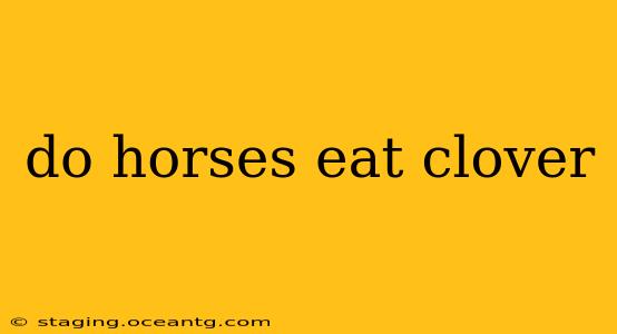 do horses eat clover