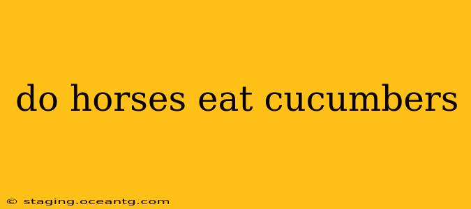 do horses eat cucumbers
