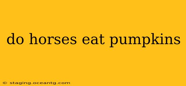 do horses eat pumpkins