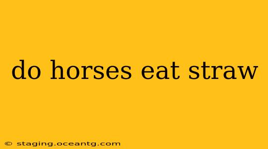 do horses eat straw