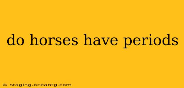 do horses have periods