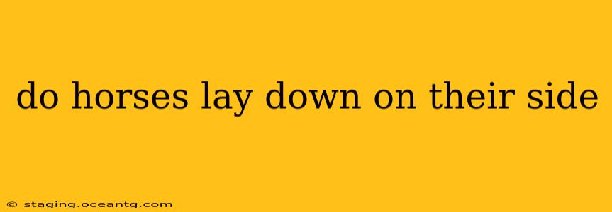 do horses lay down on their side