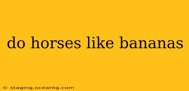 do horses like bananas