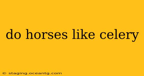 do horses like celery
