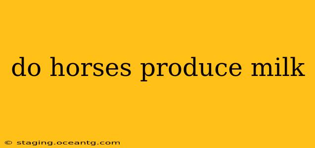 do horses produce milk