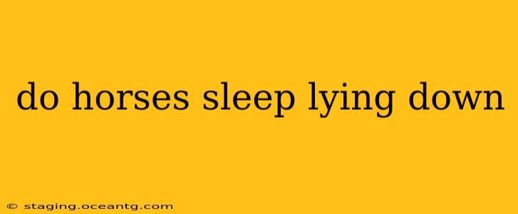 do horses sleep lying down