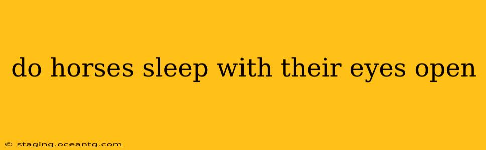 do horses sleep with their eyes open