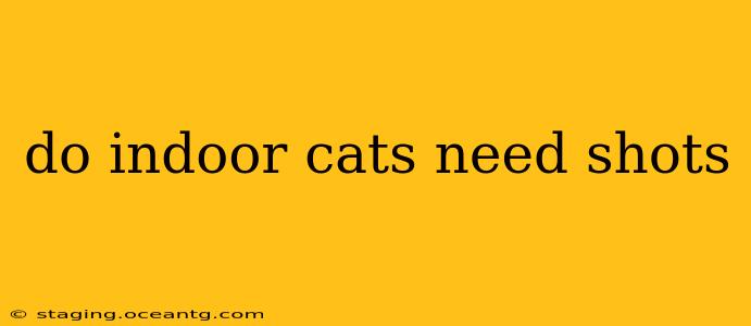 do indoor cats need shots