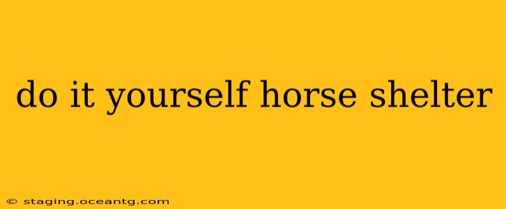 do it yourself horse shelter