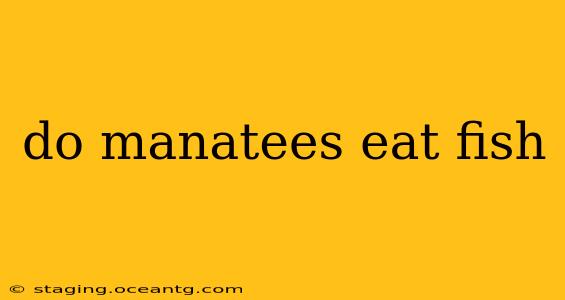 do manatees eat fish