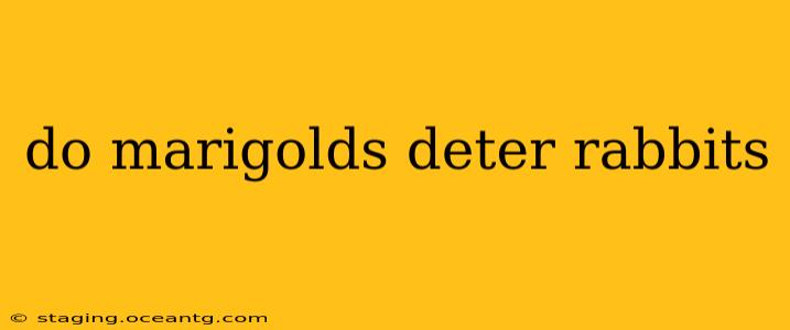 do marigolds deter rabbits