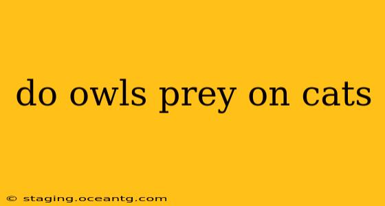 do owls prey on cats