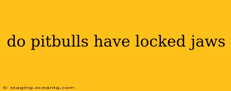 do pitbulls have locked jaws