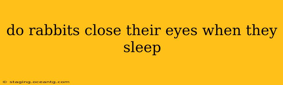 do rabbits close their eyes when they sleep
