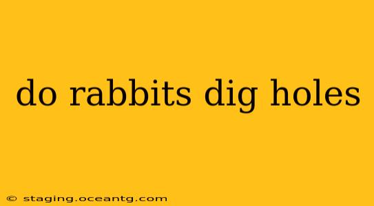 do rabbits dig holes