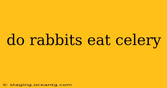 do rabbits eat celery