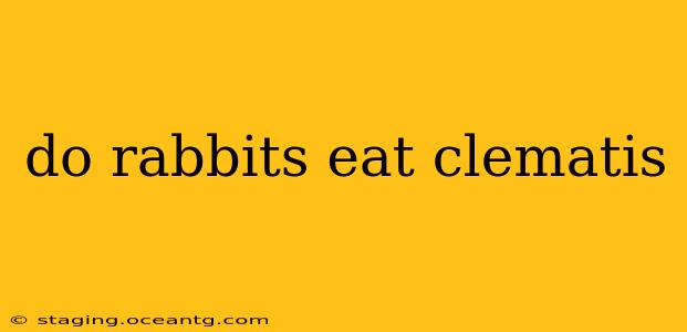 do rabbits eat clematis