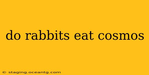 do rabbits eat cosmos
