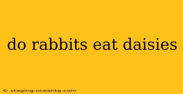 do rabbits eat daisies