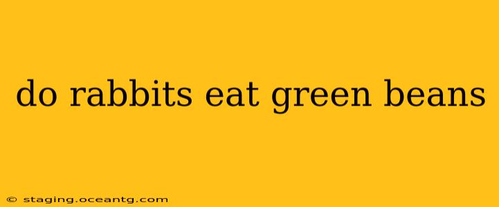 do rabbits eat green beans