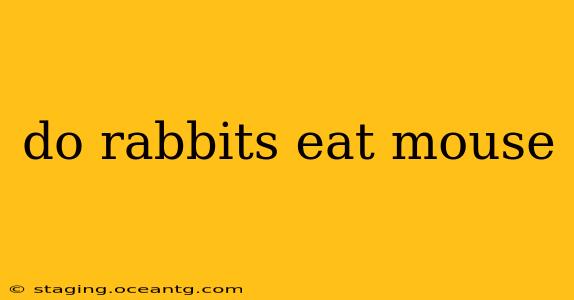 do rabbits eat mouse