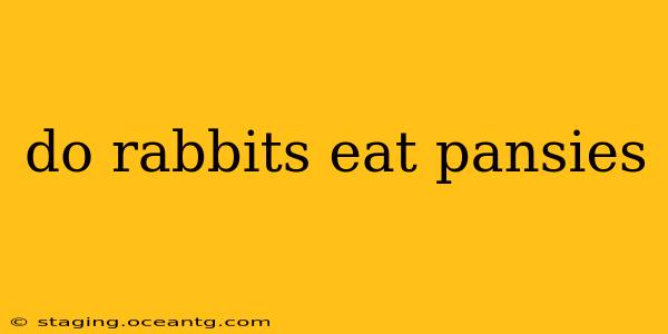 do rabbits eat pansies