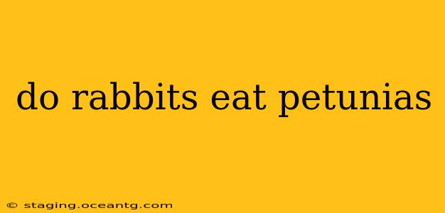 do rabbits eat petunias