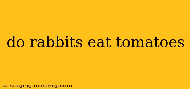 do rabbits eat tomatoes