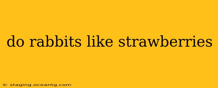 do rabbits like strawberries