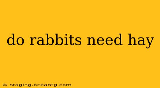 do rabbits need hay