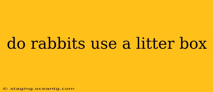 do rabbits use a litter box