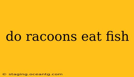 do racoons eat fish