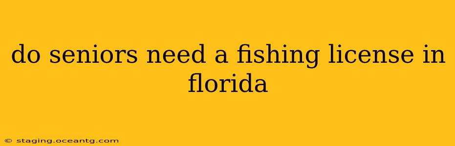do seniors need a fishing license in florida