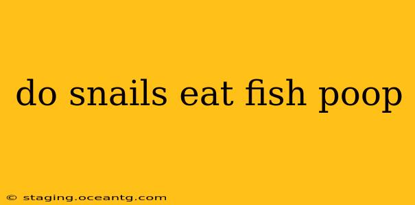 do snails eat fish poop