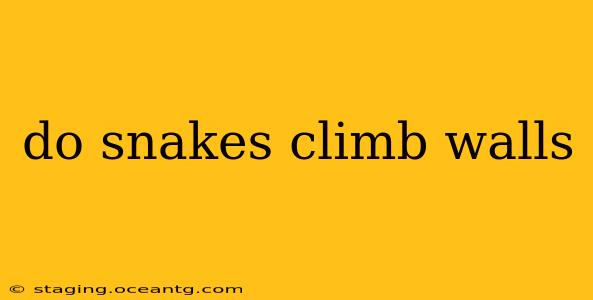 do snakes climb walls