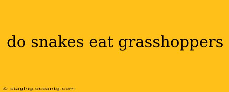 do snakes eat grasshoppers