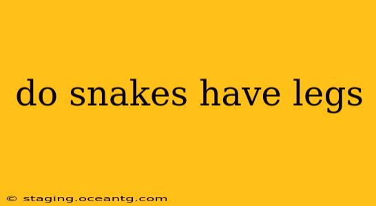 do snakes have legs