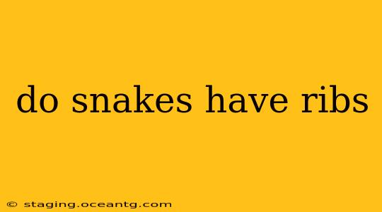 do snakes have ribs