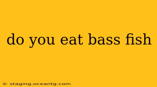 do you eat bass fish