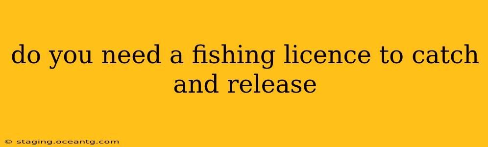 do you need a fishing licence to catch and release