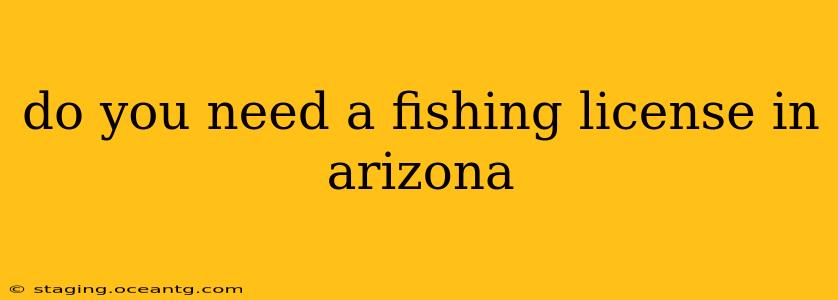 do you need a fishing license in arizona